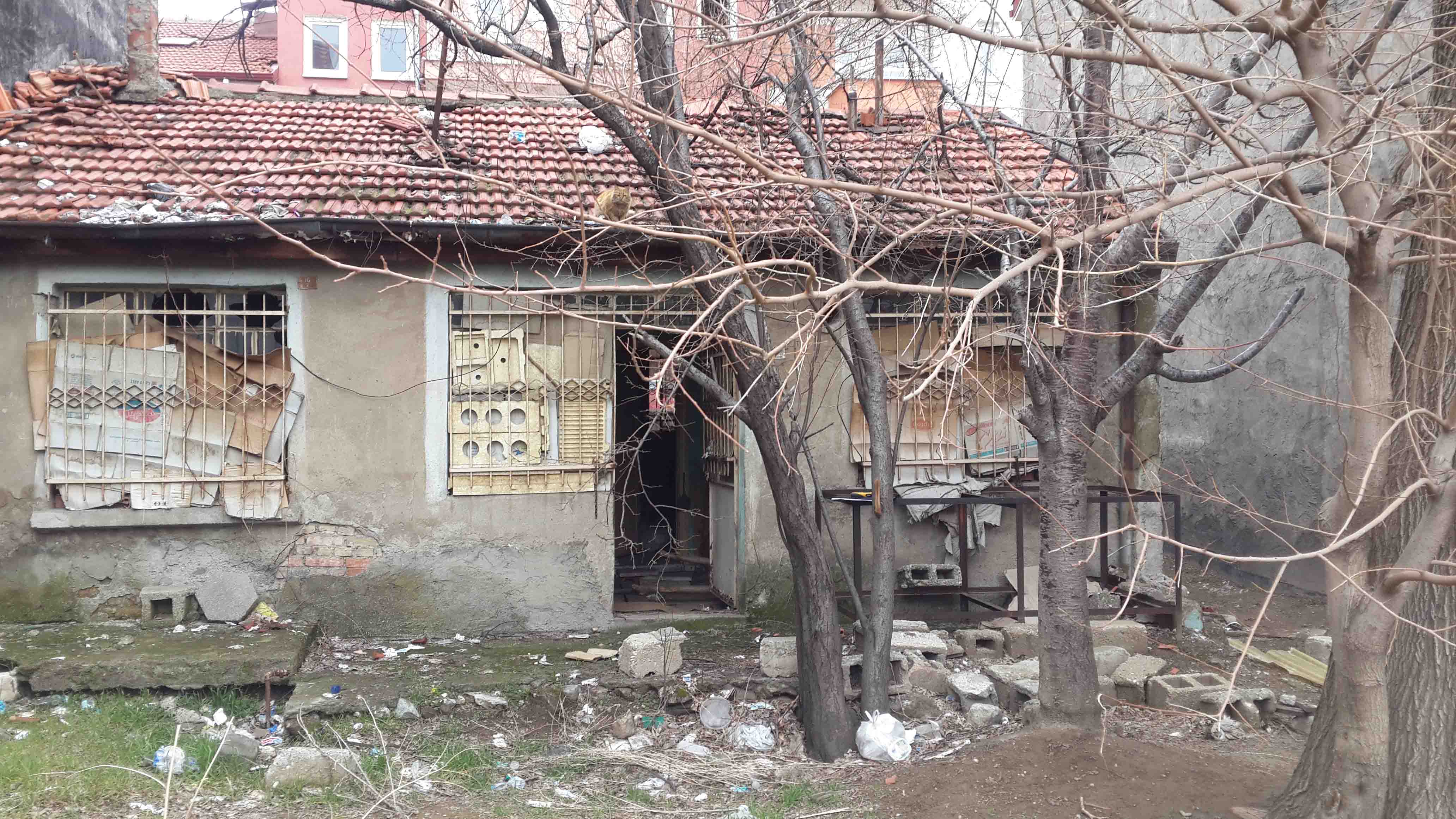 İbrahim Başdeğirmen